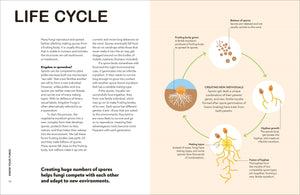 Fungi for Gardeners: Know Your Garden Fungi and How to Grow Them
