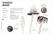 Fungi for Gardeners: Know Your Garden Fungi and How to Grow Them