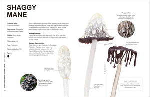 Fungi for Gardeners: Know Your Garden Fungi and How to Grow Them
