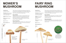Fungi for Gardeners: Know Your Garden Fungi and How to Grow Them