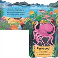 Pop-Up Peekaboo! Seashore: A Beachy Surprise Under Every Flap!, DK