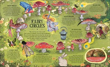 The Extraordinary History of the Fae: Fairies, Spirits, and Other Magical Beings By Atkinson (Pre-Order 8/18/26)