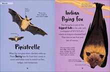 The Bedtime Book of Nighttime Animals: More Than 100 Creatures Who Come Out to Play When You Go to Bed