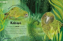 The Bedtime Book of Nighttime Animals: More Than 100 Creatures Who Come Out to Play When You Go to Bed