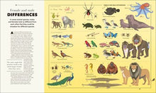 Animals A Visual Compendium: An Incredible Guide to the Animal Kingdom, DK