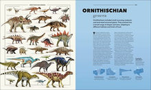 Animals A Visual Compendium: An Incredible Guide to the Animal Kingdom, DK