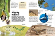 Eyewonder Reptiles: Open Your Eyes to a World of Discovery, DK