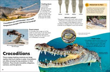 Eyewonder Reptiles: Open Your Eyes to a World of Discovery, DK