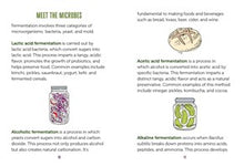 The Little Book of Fermented Foods: The Funky World Where Food Is Alive and Good Gut Health Thrives By Balslev