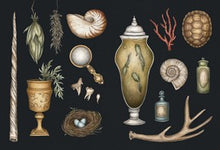 The Collector's Curio: A Sticker Treasury By Roux