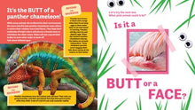 Butt or Face? Volume 5: Rainbow Butts By Lavelle