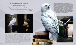 IncrediBuilds: Harry Potter Hedwig 3D Model and Booklo