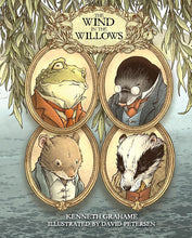 The Wind in the Willows: With Illustrations by David Petersen cover image