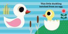 This Little Duckling: A Touch and Feel Book (This Little, 1) by Arrhenius