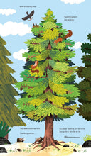 Once I Was A Tree by McLaughlin