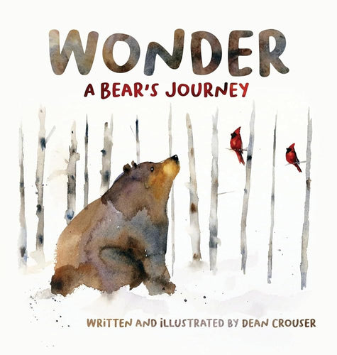 Wonder: A Bear's Journey cover image