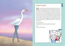 Extremely Accurate Birds: An Anatomically Precise Field Guide to Common Backyard Birds of North America By Siegel