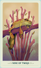 Fortunate Frogs: Tarot Deck and Guidebook by Short
