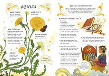 A Guide to Plants for Little Witchlings: 15 Spells, Charms and Crafts by Lane