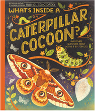 What's Inside a Caterpillar Cocoon? : And Other Questions About Moths & Butterflies by Ignotofsky