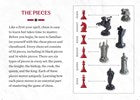 Harry Potter Wizard Chess Set