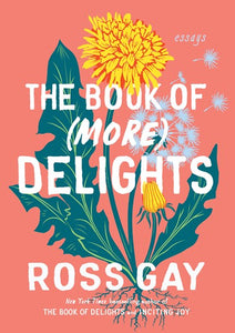 The Book of (More) Delights by Gay