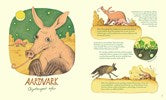 Genius Noses : A Curious Animal Compendium by Anlauf & Konstantinov