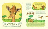 Genius Noses : A Curious Animal Compendium by Anlauf & Konstantinov