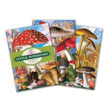 Fumiha's Little Notebook Set - Mushrooms