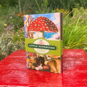 Fumiha's Little Notebook Set - Mushrooms