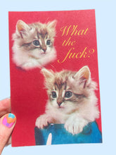 POSTCARD What The F*ck? Kitten