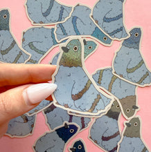 Pigeon Vinyl Sticker