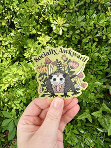 Awkward Possum Sticker