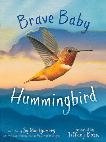 Brave Baby Hummingbird by Montgomery