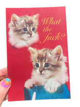 POSTCARD What The F*ck? Kitten
