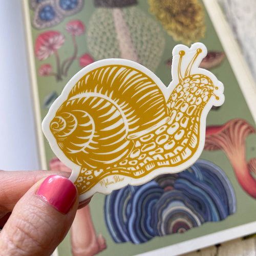 Snail Sticker