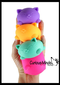 1 Cat Nee Doh Soft Fluff- Filled Squeeze Stress Ball