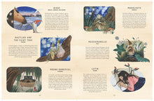 The Fairy Atlas: Fairy Folk Of The World by Claybourne