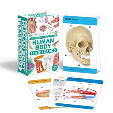Our World In Pictures Human Body Flash Cards