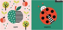 My Little Garden by Kendal