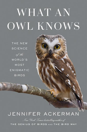 What An Owl Knows by Ackerman