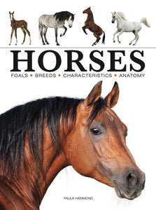 Horses by Hammond