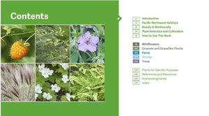 The Pacific Northwest Native Plant Primer by Currie