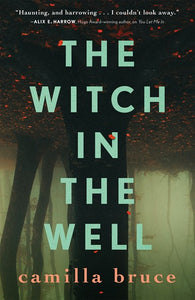 The Witch In The Well by Bruce