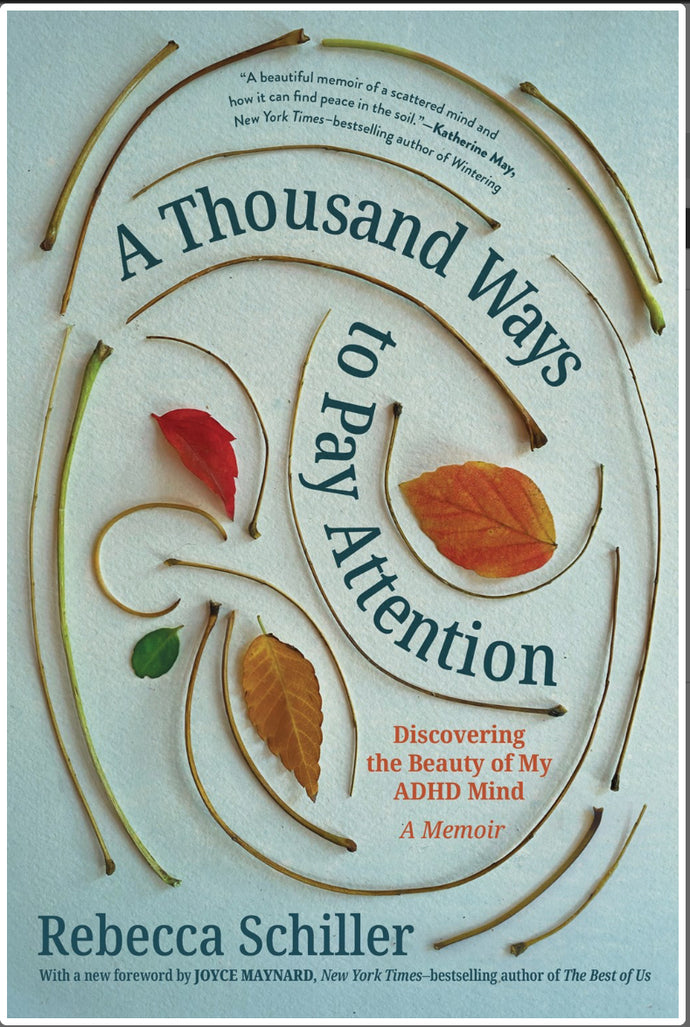 A Thousand Ways to Pay Attention by Schiller