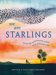 We Are Starlings: The Mesmerizing Magic Of A Murmuration by Furrow