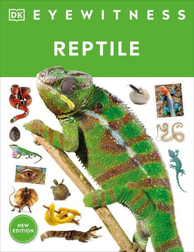 DK Reptile