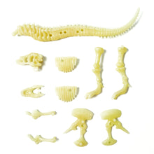 4M Glow T-Rex Skeleton DIY Kit Puzzle