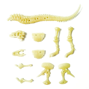 4M Glow T-Rex Skeleton DIY Kit Puzzle