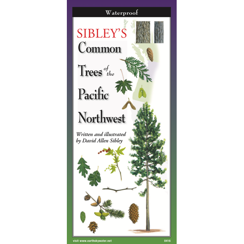 Sibley's Trees of Pacific Northwest